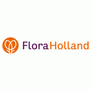 Werken bij FloraHolland