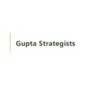 Werken bij Gupta Strategists